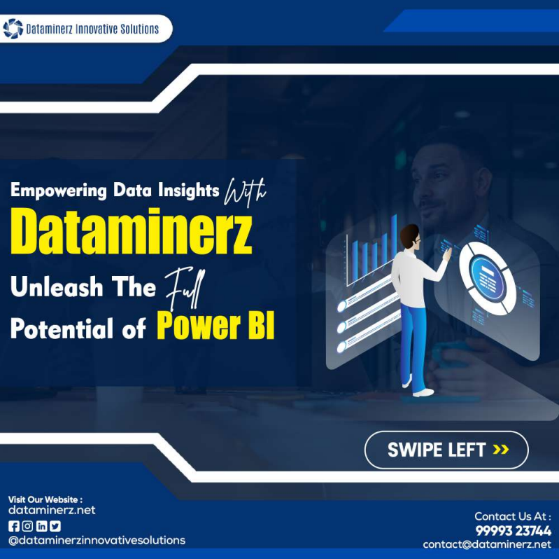 Empowering Data Insights with Dataminerz: Unleash the Full Potential of Power BI